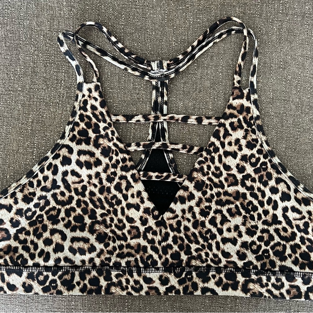 Zyia xxl sports bra
